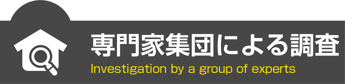 専門家集団による調査